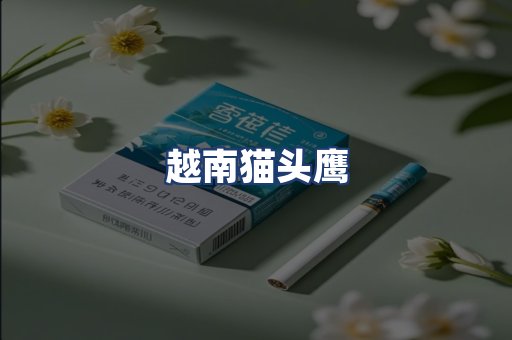 越南猫头鹰
